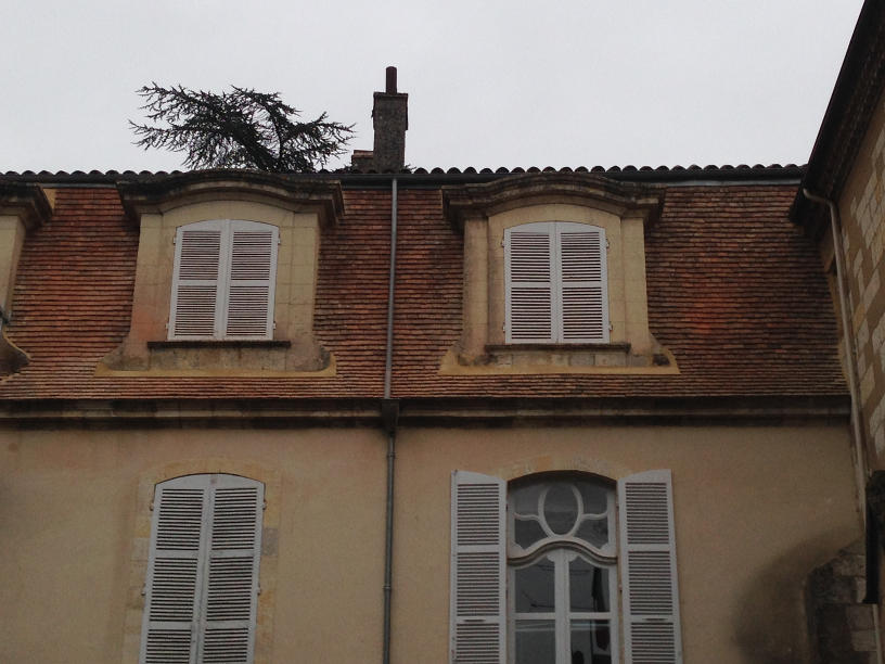 Pose de couverture en tuiles plates à Condom